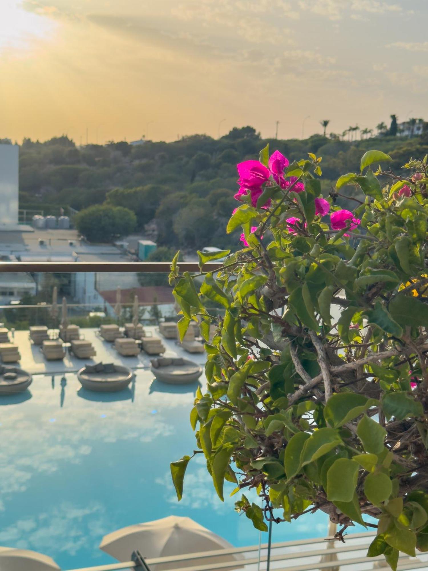 Amarande (Adults Only) Hotel Agia Napa Exterior foto Bougainvillea